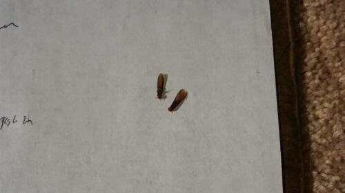 20141001 103056